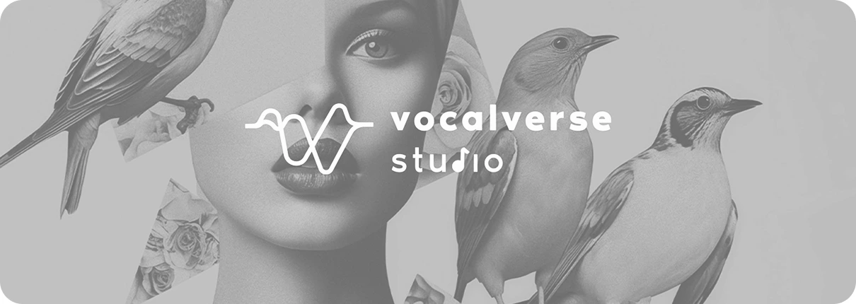 baner vocalversestudio szary z nazwą i elementami ozdobnymi